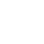 DSLK-Logo_rgb_Claim_300x300_negativ