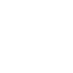 Papstar_Logo_negativ